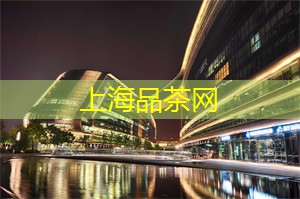 上海品茶网：捕捉城市脉动的夜景摄影技巧