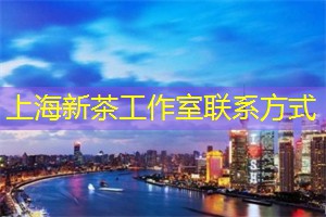 上海品茶网：轻松自在，倾情倾听来自上海茶庄的故事